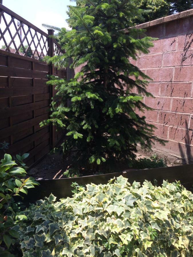 Ferienwohnung La Porta Nel Giardino Asti Exterior foto