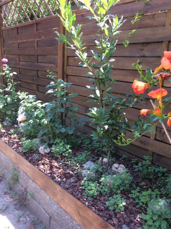 Ferienwohnung La Porta Nel Giardino Asti Exterior foto