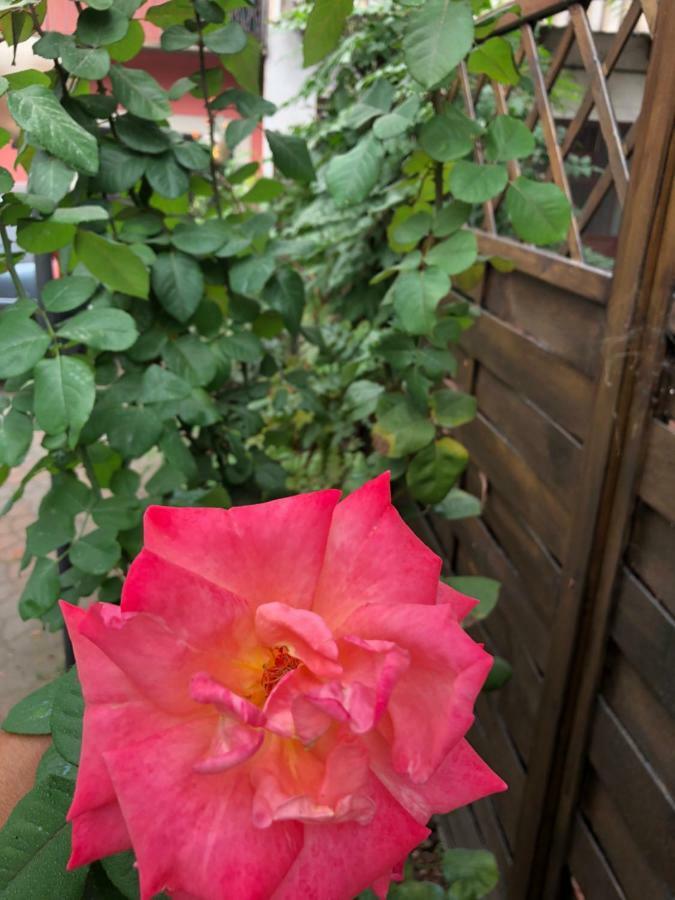 Ferienwohnung La Porta Nel Giardino Asti Exterior foto